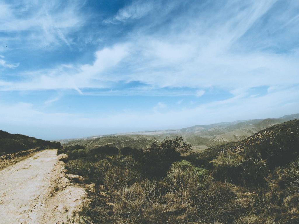 中医师承52号令到底怎么考？过来人掏心窝子说说真实情况示意图1