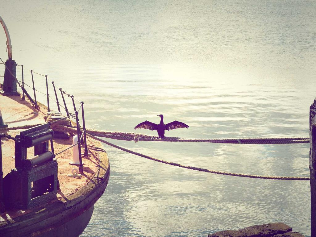 中医师承新疆：边疆学中医，真能走通这条路？