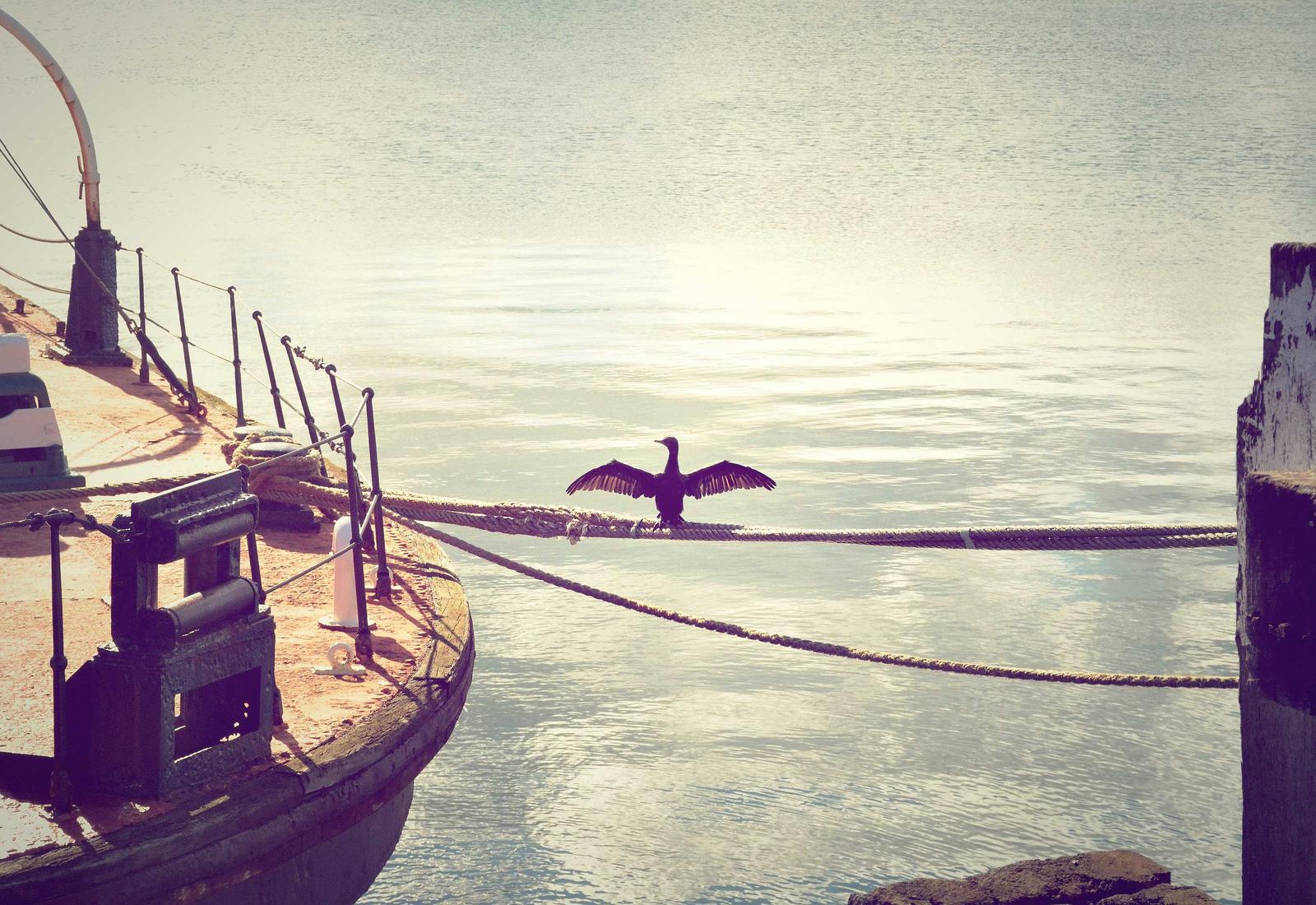 Discover Istanbul