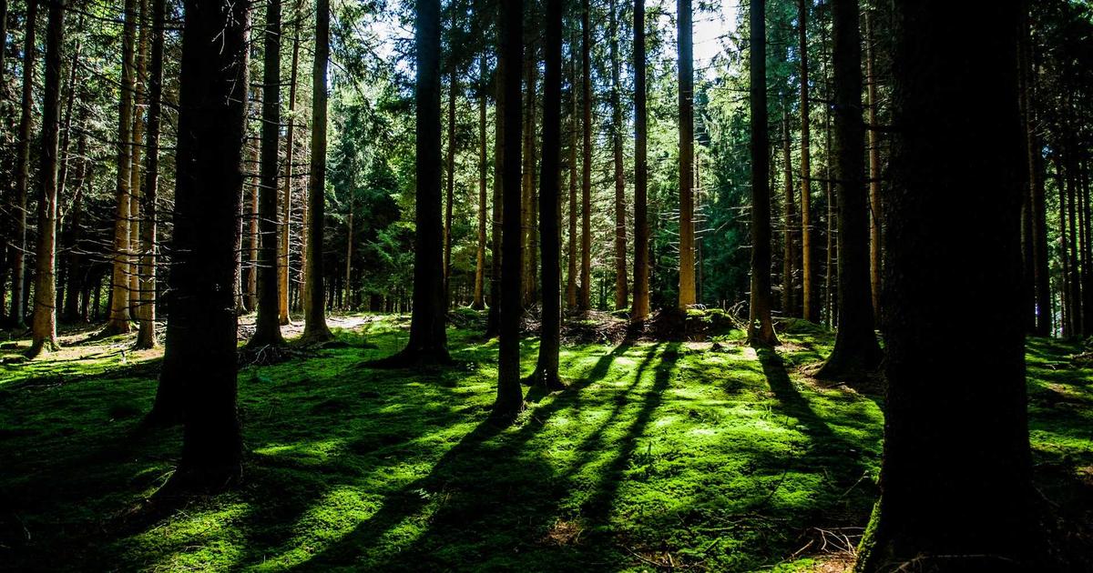 End of Q3 Review: A Guide for SMBs