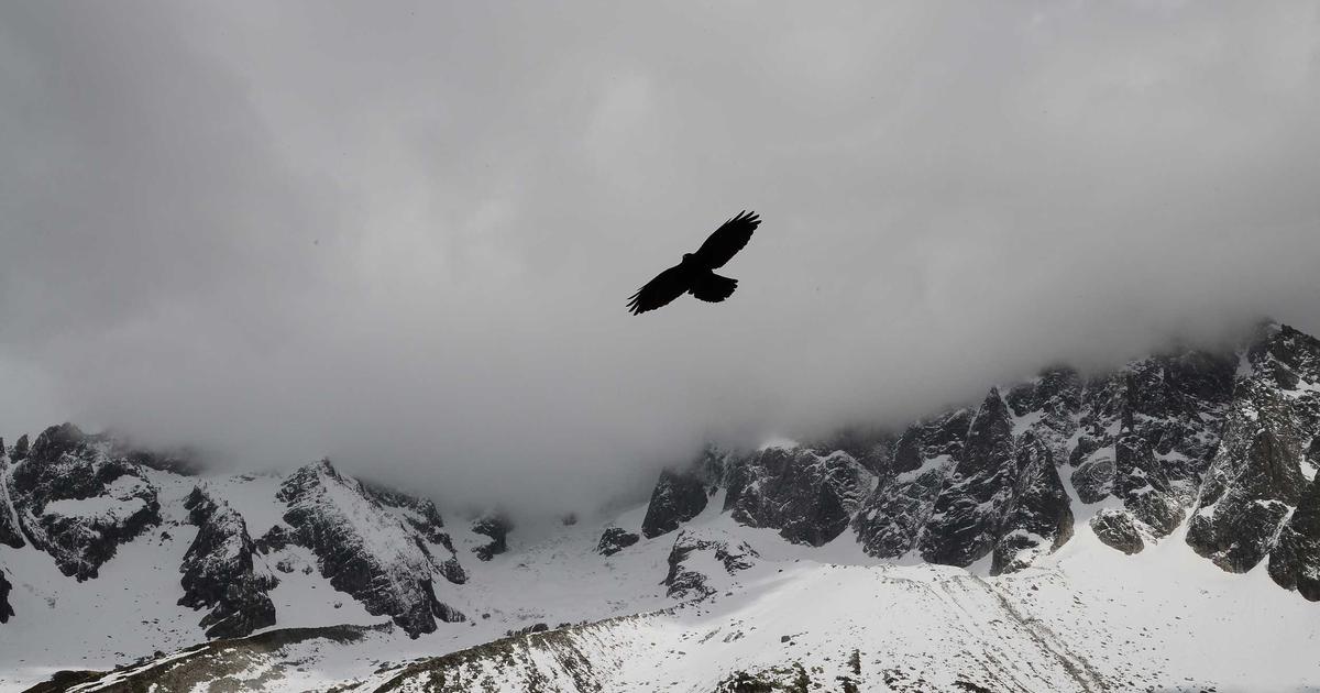 Financial Spring Clean: A Guide for Consultants