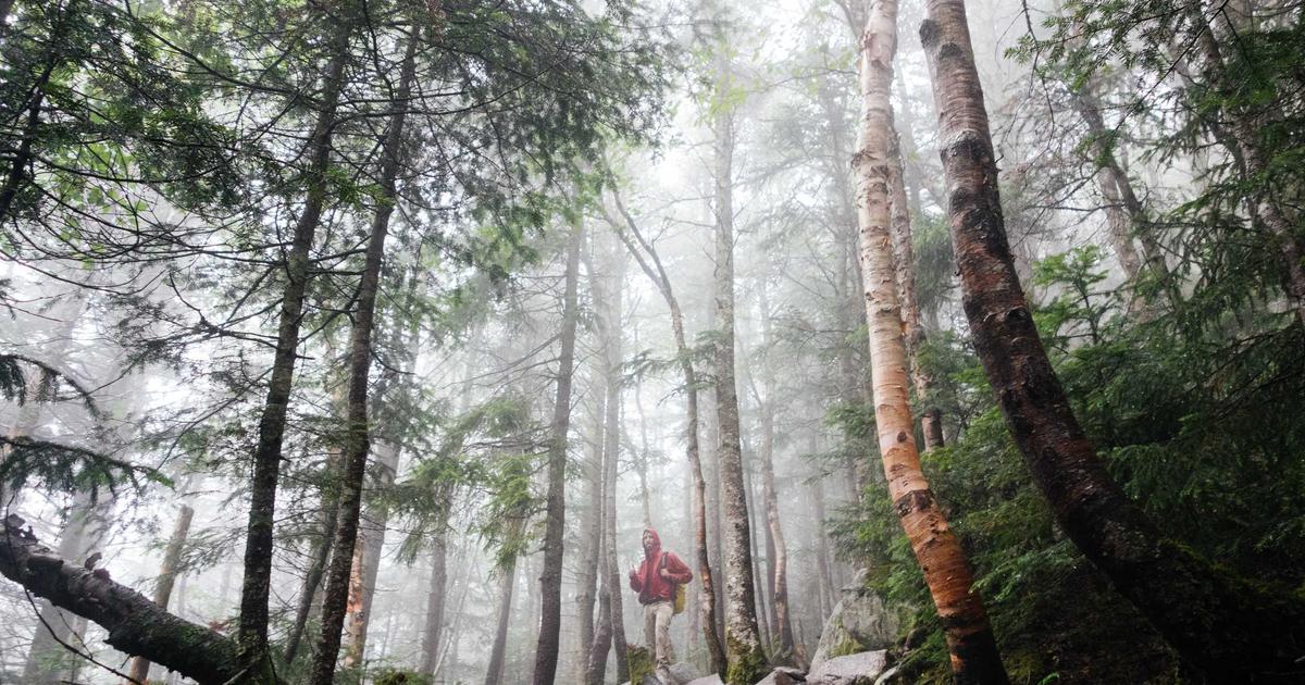 Half-Year KPI Review: A Guide for Service Businesses