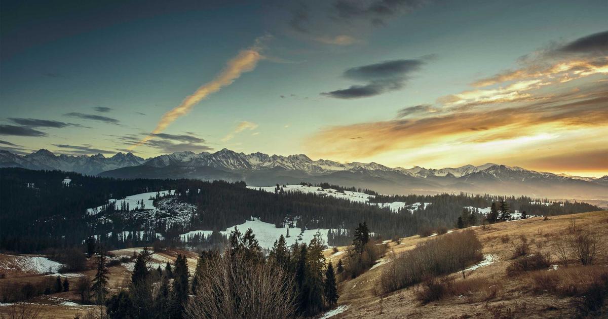 12 Expense Tracking Apps for Creative