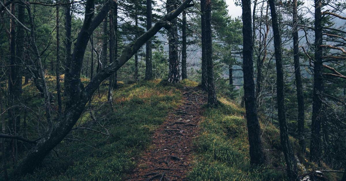 Pre-Holiday Preparation: A Guide for SMBs