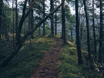 What are the signs of covert narcissistic abuse that most people miss?