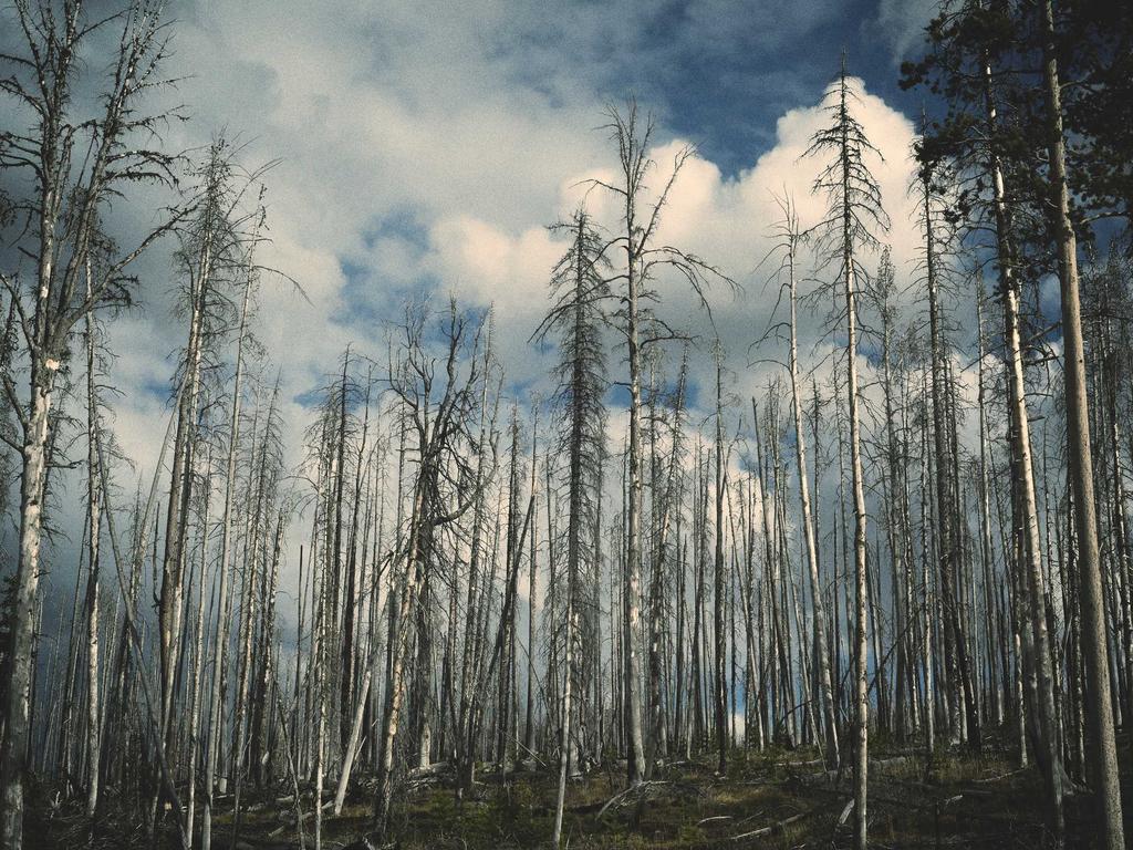 想中医师承？别急着交钱，先搞懂这5个坑我替你踩过了