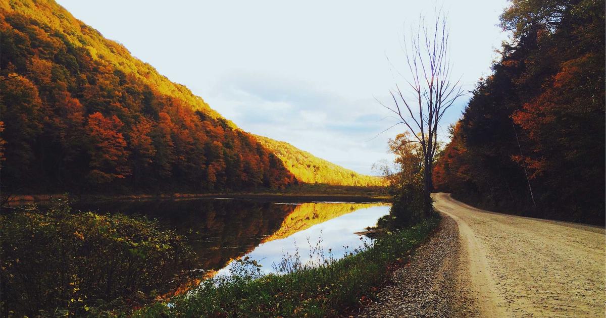 Summer Business Planning: A Guide for Service Businesses