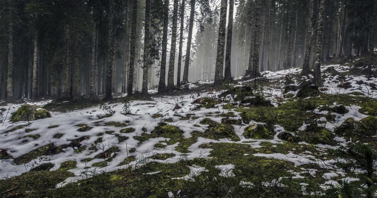 Budgeting for Technology: A Essential Guide