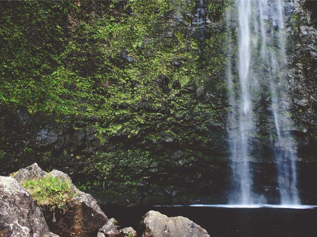 中医养生知识｜四季调理+日常习惯，实用入门指南