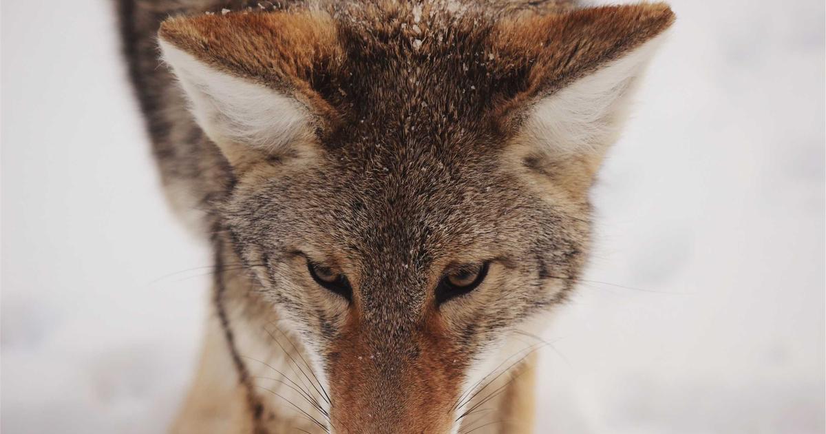 Invoice Templates That Get Results - Part 1