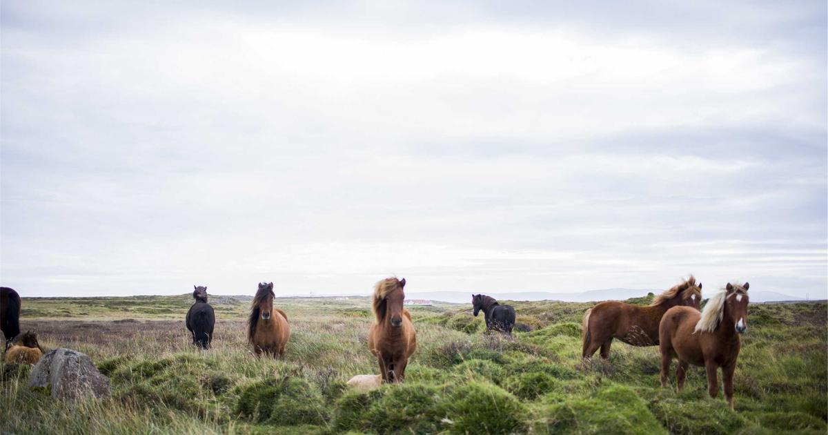 Black Friday/Cyber Monday Finance: A Guide for Startups