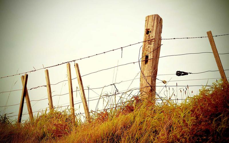 Blog Featured Image