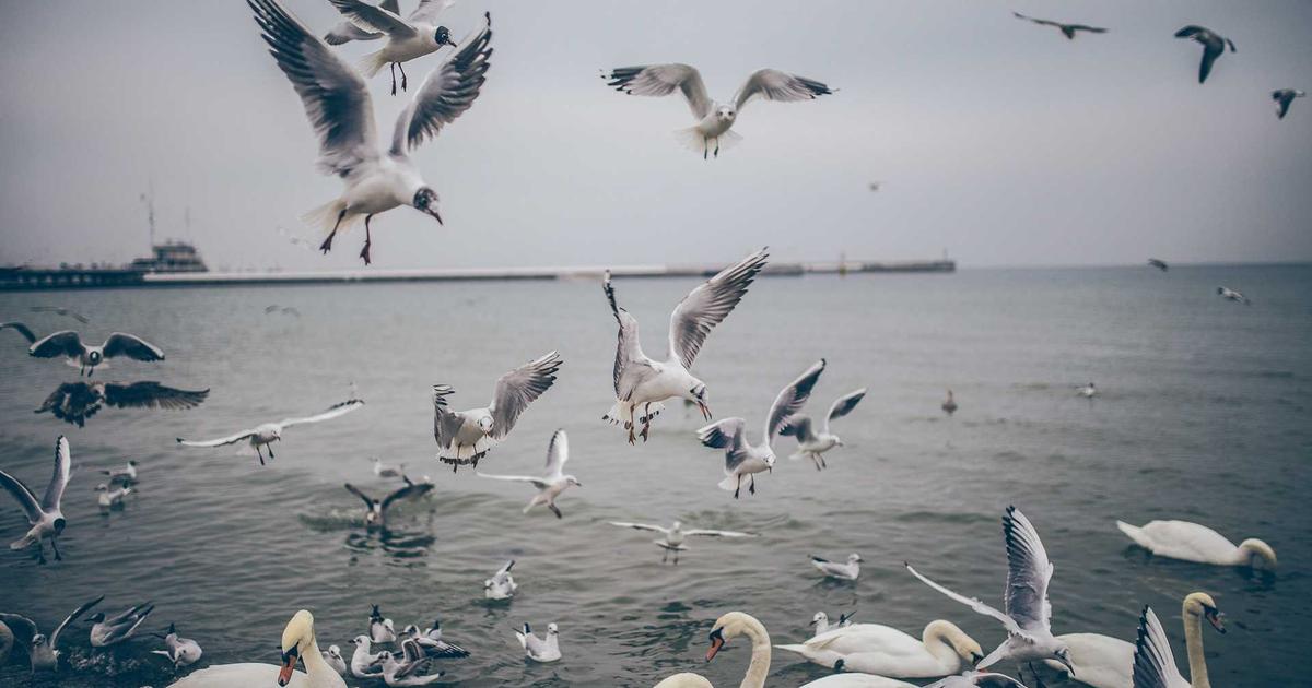 Spring Cleaning Your Books: A Guide for Service Businesses