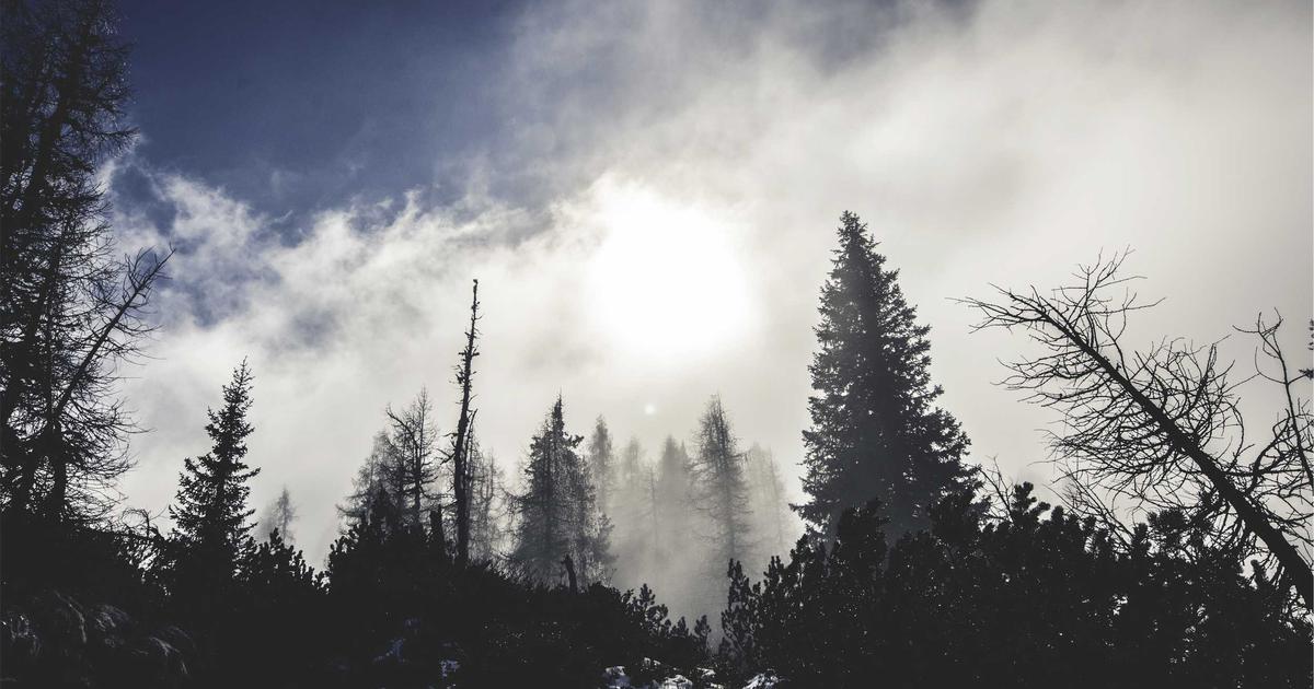 Which Products/Services Are Most Profitable? (2022)