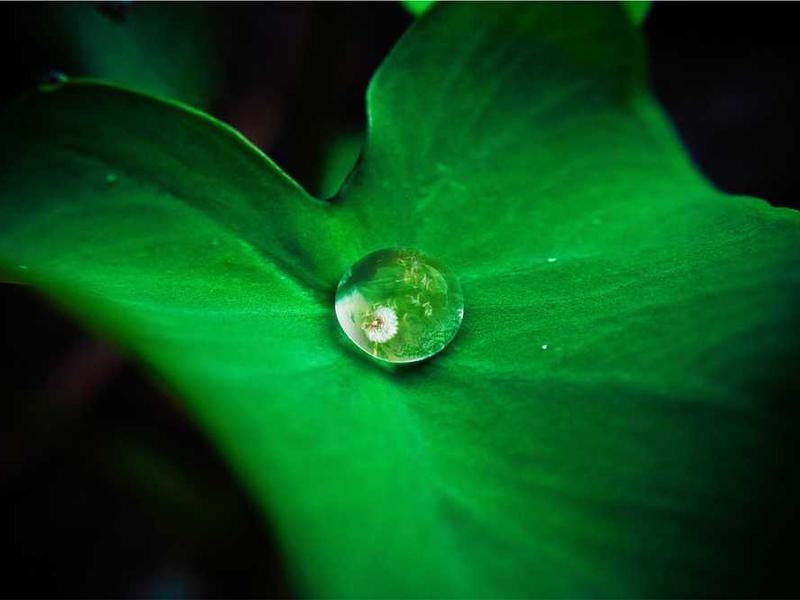 西奥恒玥商城平台