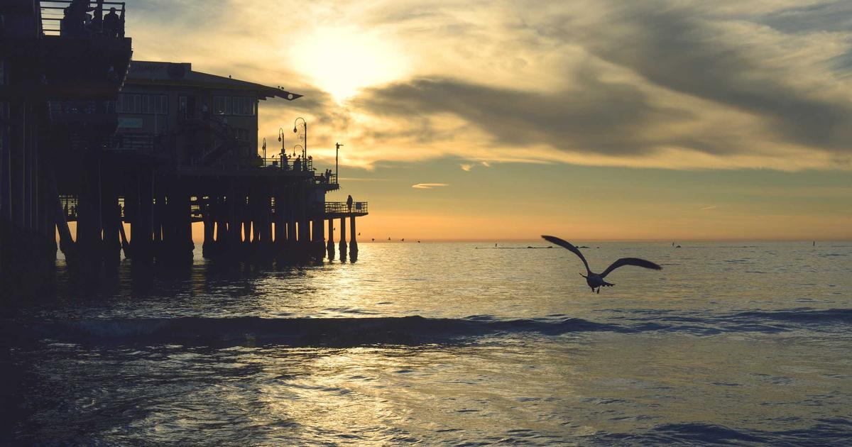 The Expert Guide to Financial Automation