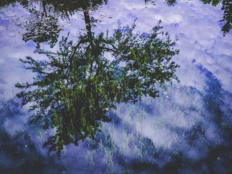 Featured image of post 话说知识库共享网络有没有搞头？