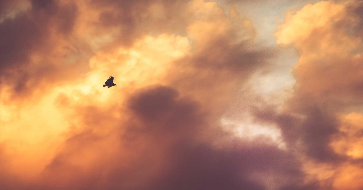 KPI Benchmarks for Hospitality