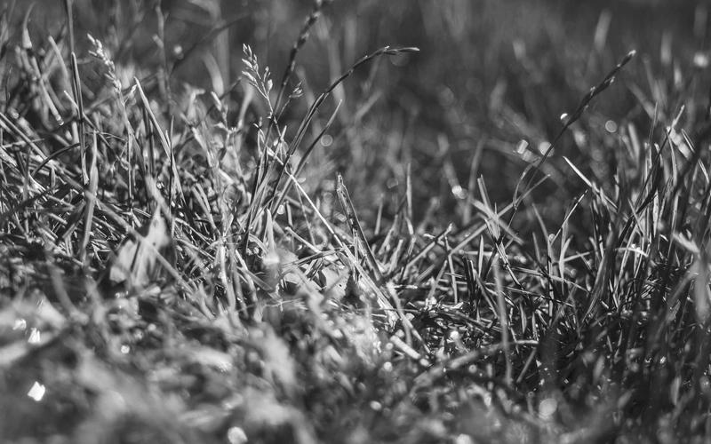 Blog Featured Image