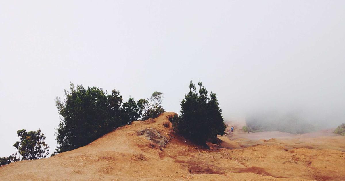 11 KPIs That Predict Cash Problems