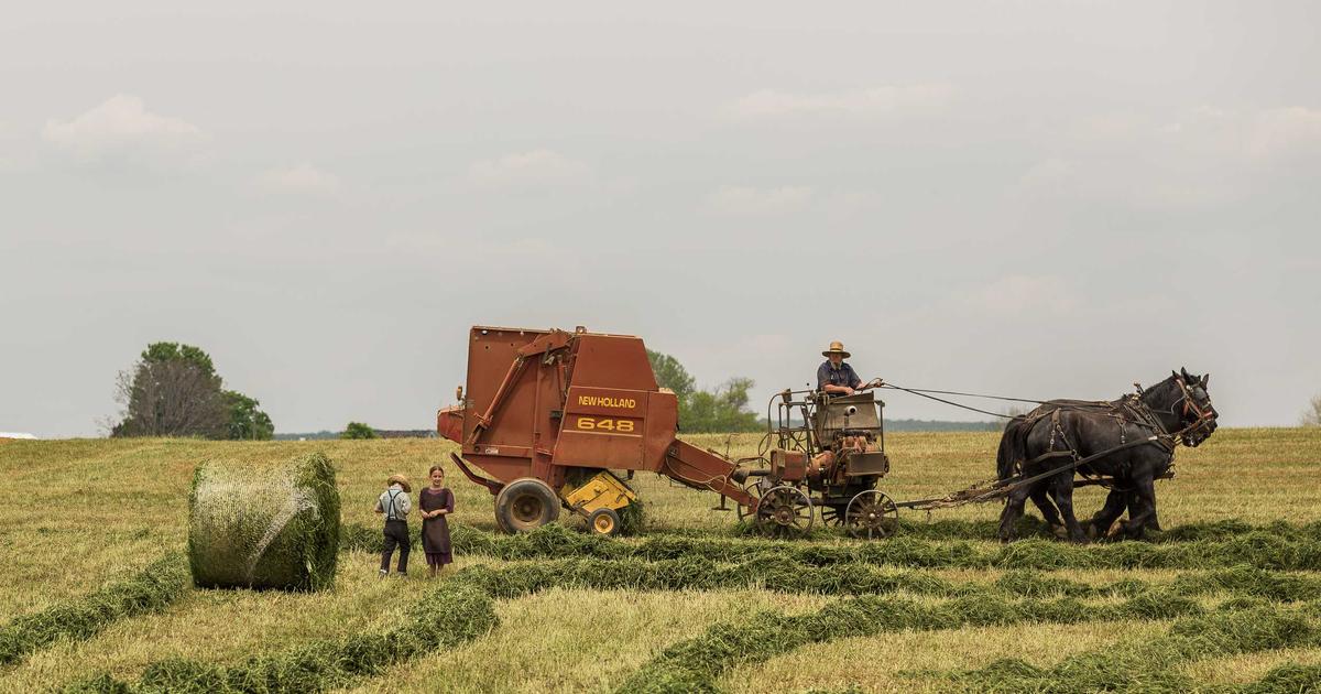 How to Build a Financial Dashboard That Actually Gets Used