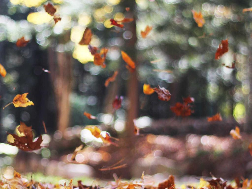 师承中医师吗？别急着交钱，先搞清楚这5件事再决定