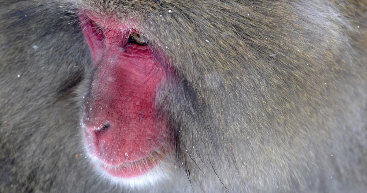 Building an Automated Financial Workflow (2022)