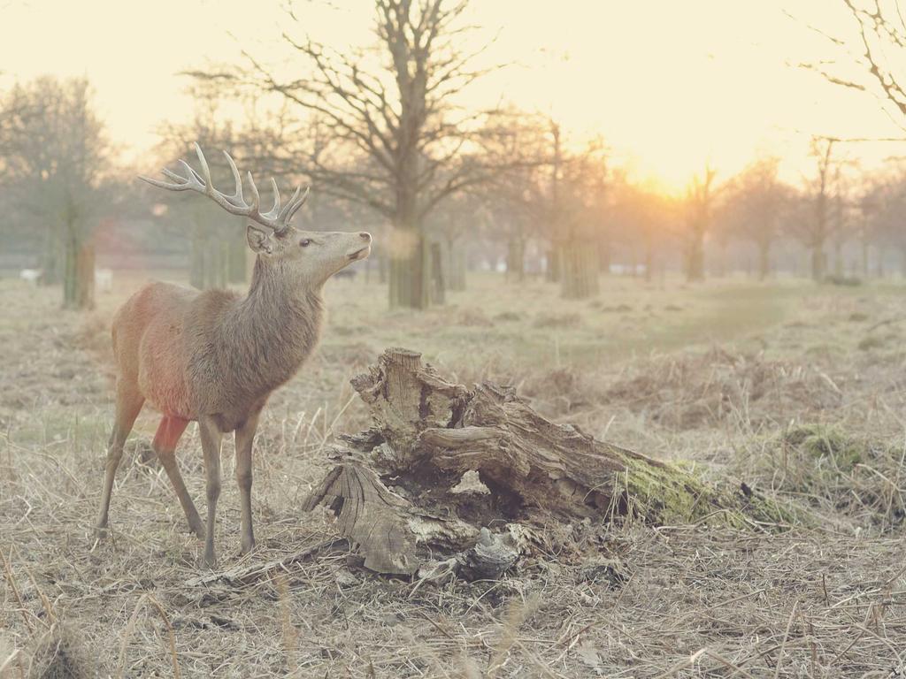 中医师承主持到底怎么选？过来人掏心窝子说几句
