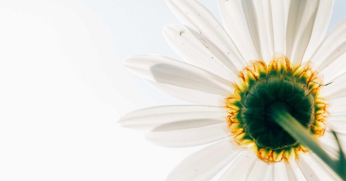 New Year Financial Goals: A Guide for Consultants