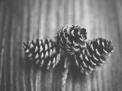 My boyfriend won’t tell me his past and it hurts me so I broke up with him what do I do?