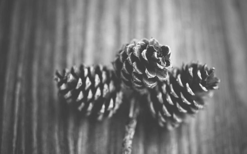 Blog Featured Image