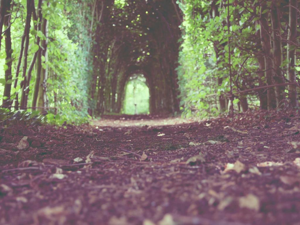 衡水中医师承到底靠不靠谱？一个跟师三年的人掏心窝子说说示意图1