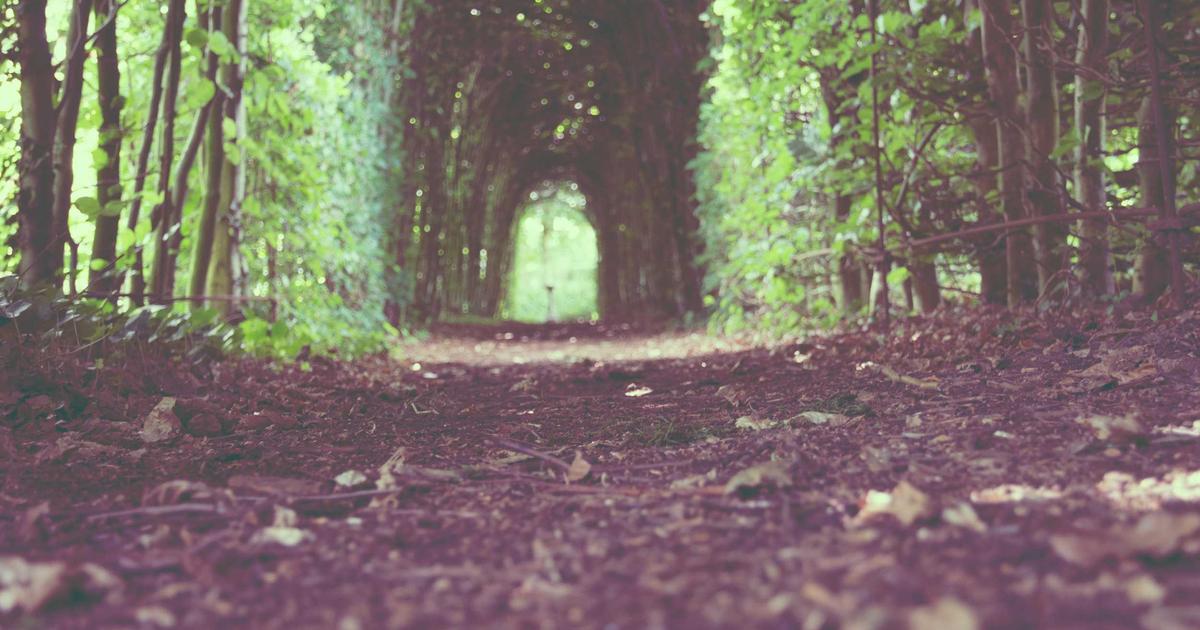 How to Improve Profit Margins in Real Estate