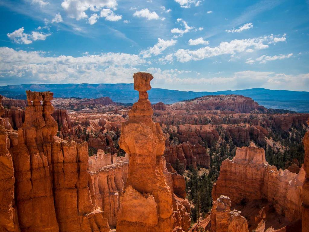 贵州省中医师承：零基础也能学中医？我亲测这条路走得通