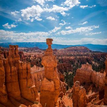 random image from unsplash