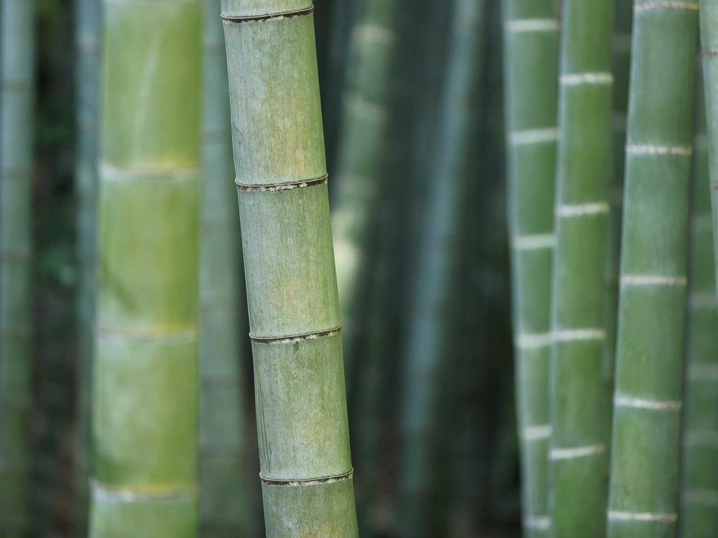 中医师承拜师贴内容写作技巧