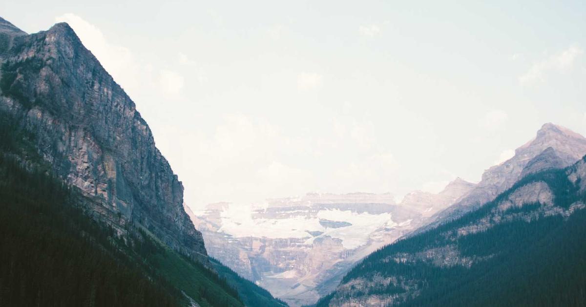 Black Friday/Cyber Monday Finance: A Guide for Service Businesses