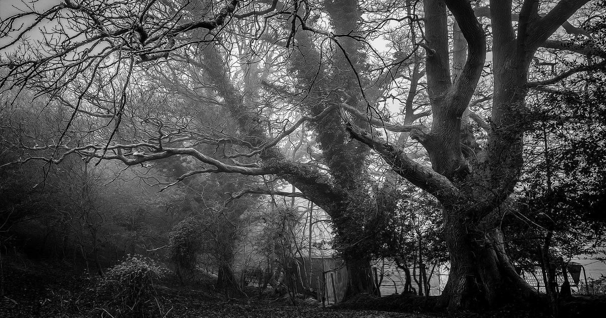 Setting Up KPI Tracking in Xero