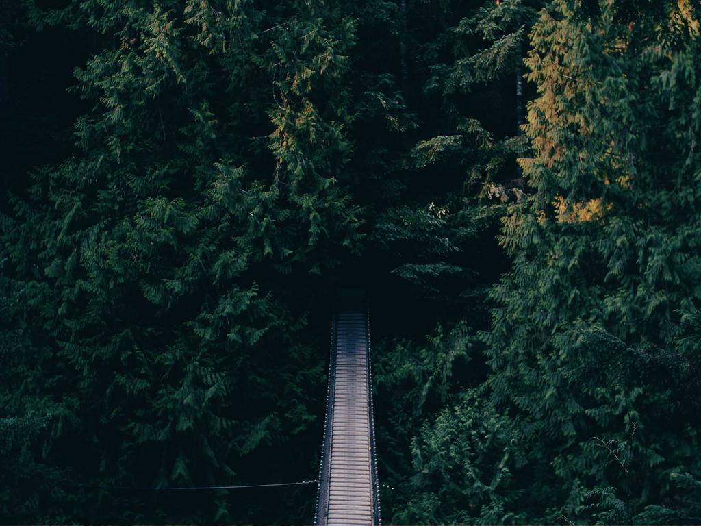 天津中医师承老师怎么找？亲测靠谱的3个渠道和避坑提醒示意图1