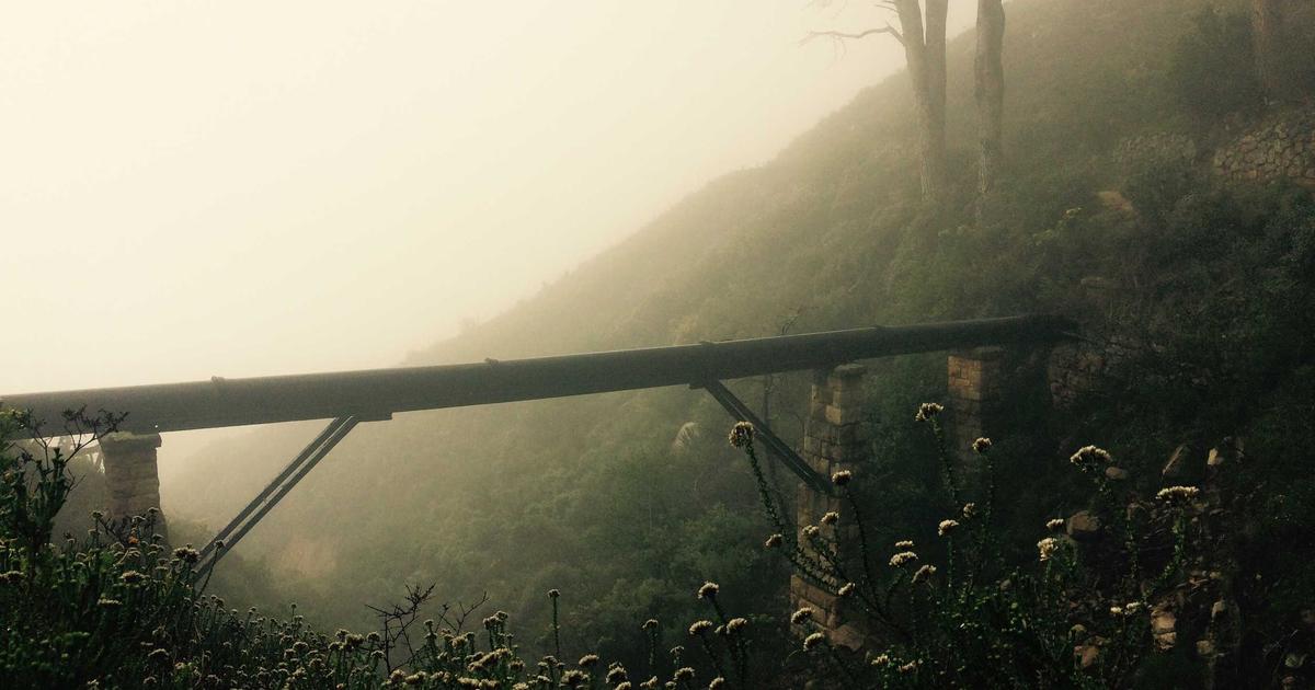 GST/VAT Management in Xero: Smart Guide