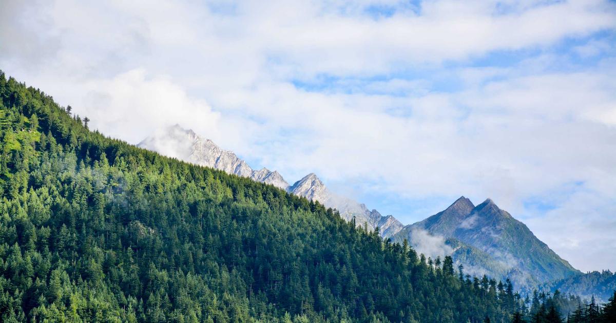 How to Stick to Your Business Budget