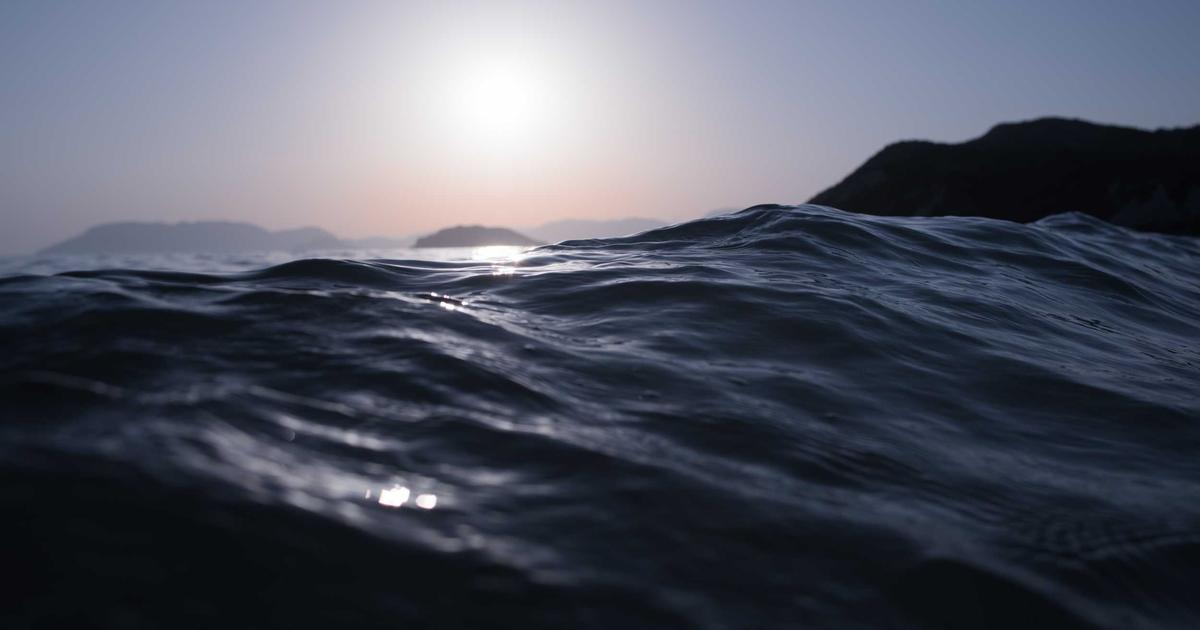 Tax Season Preparation: A Guide for Growing Businesses