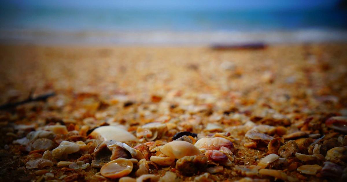 Q1 Financial Review: A Guide for Consultants