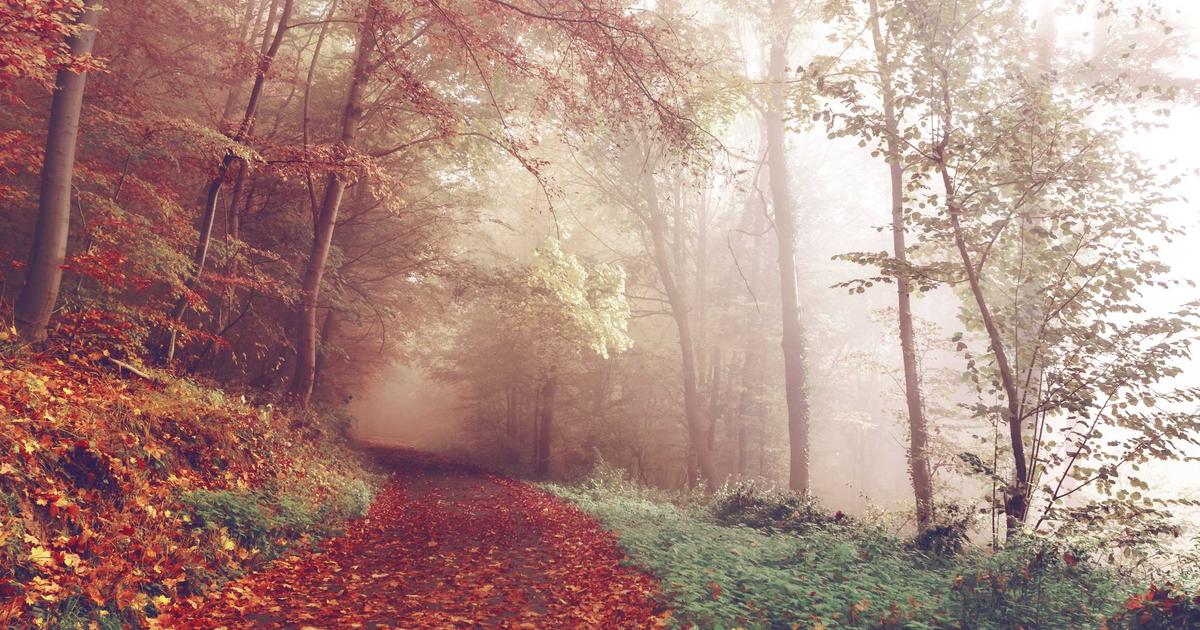 Holiday Season Prep: A Guide for Business Owners