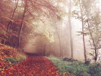 Has a psychic ever made a crazy prediction that turned out to be true?