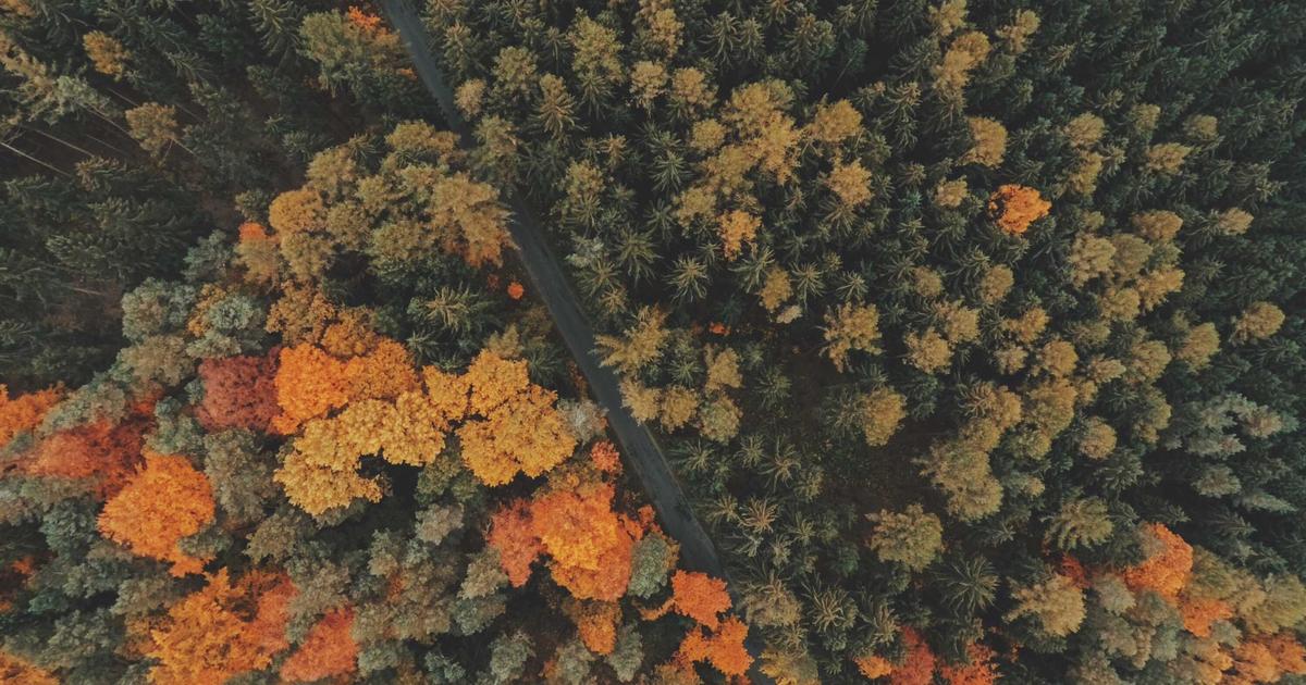 How to Stick to Your Business Budget - Part 1