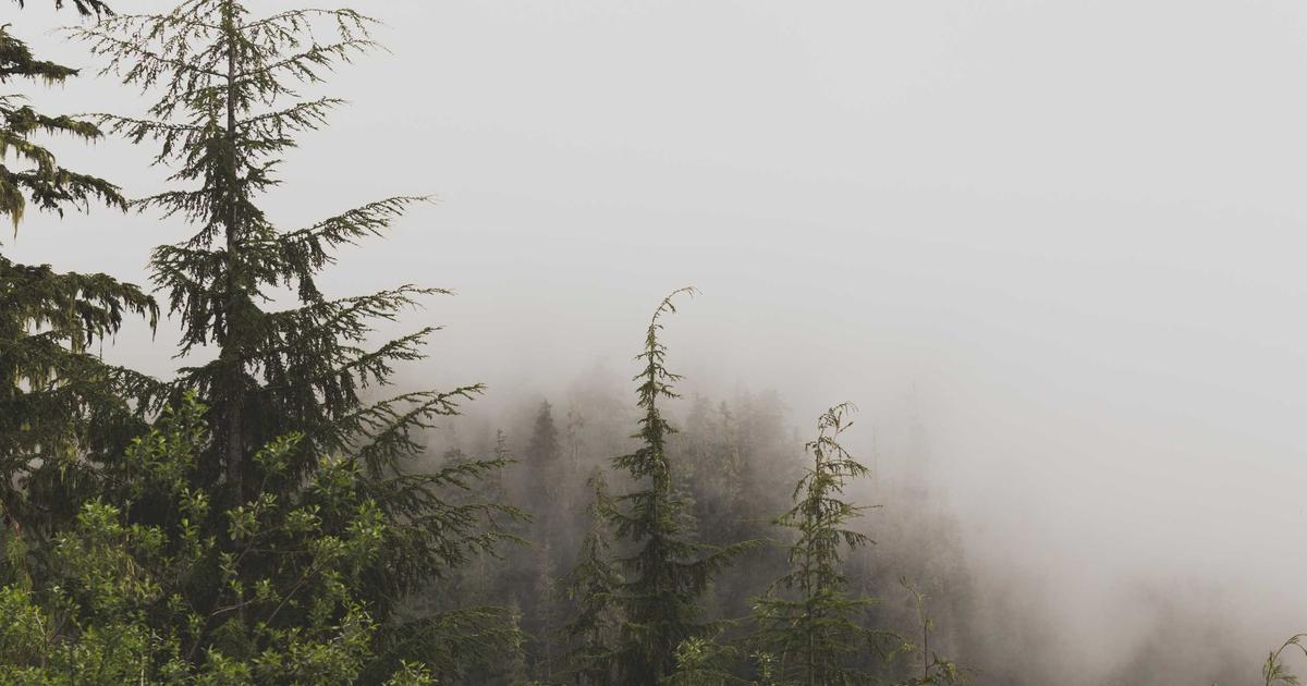 7 Ways to Accelerate Cash Collection