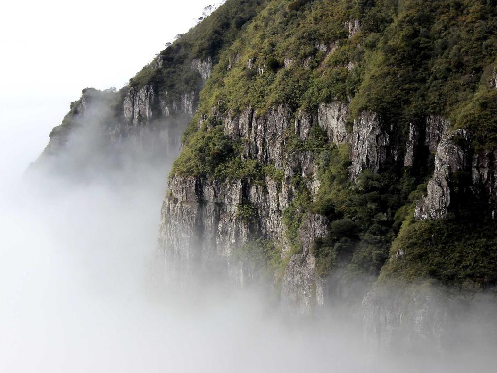 山西中医师承费用到底多少？过来人掏心窝子说说真实情况