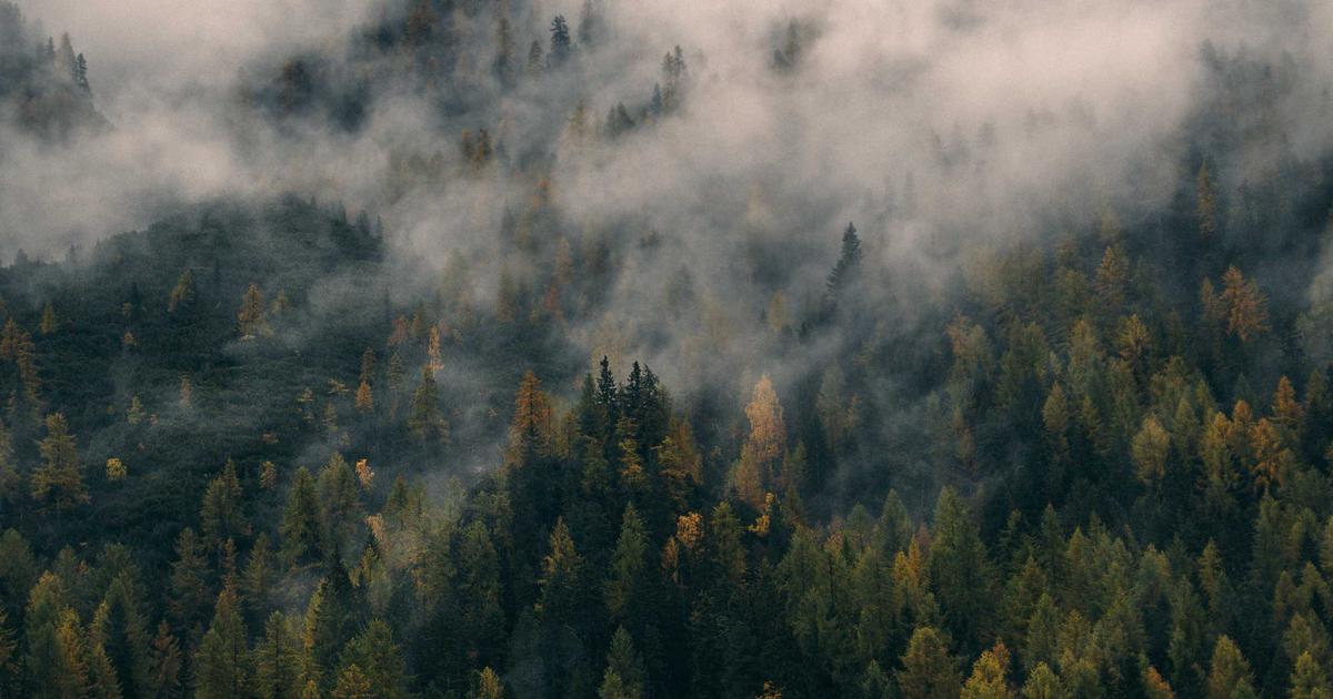 Reducing Overhead Costs for SMBs