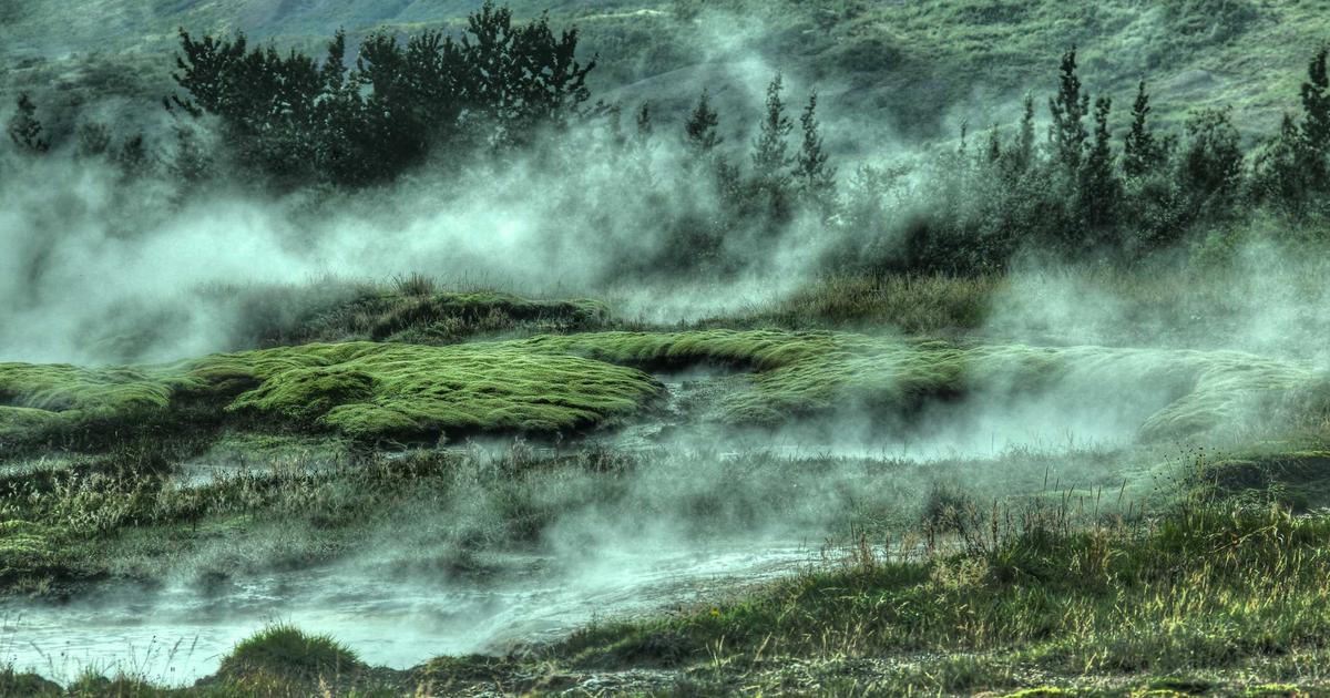 Budget vs Actual: Analyzing Variances (2024)